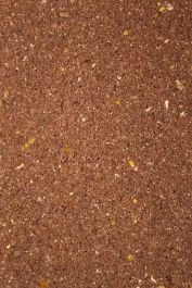 Livebait Brasem Lokvoer 1 Kilo