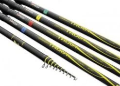 Concept Trout Bomb NR.4