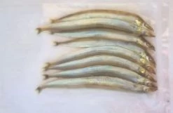 Geconserveerde Zand Spiering Maat: S